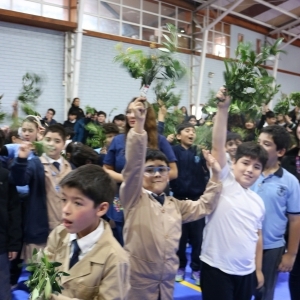 Celebración de Ramos